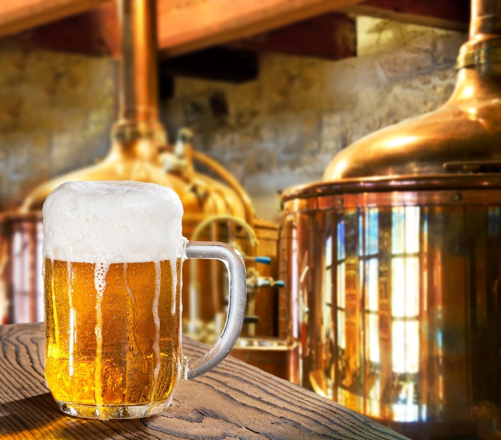 craft brewery financial training