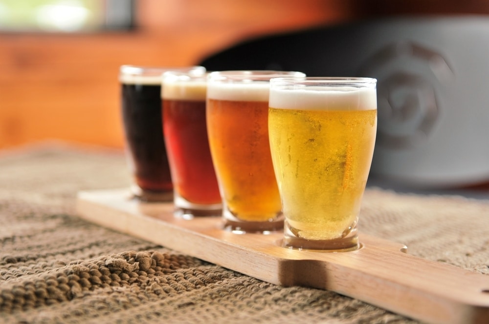 craft brewery financial training