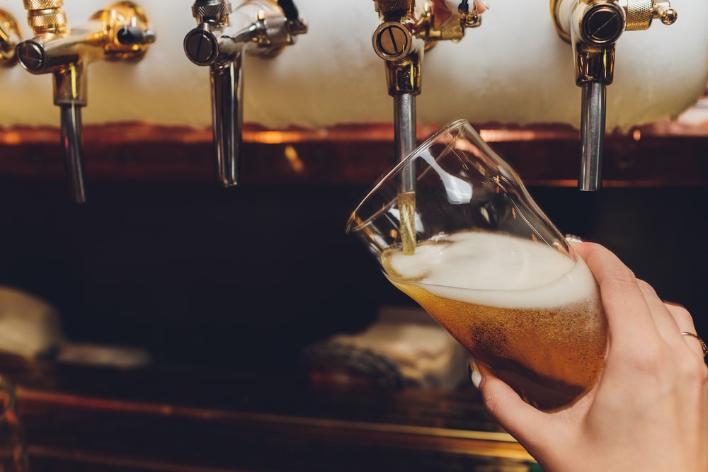 craft brewery financial training