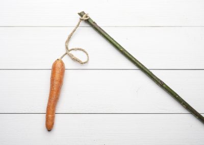 Breweries: The Carrot and Stick Approach is Dead…Try This Instead…