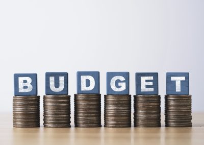 Brewery Budget Basics