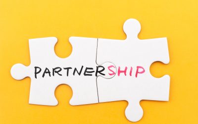 Grow Distribution by Becoming Your Wholesaler’s Best Partner