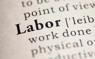What Should Your Brewery Be Spending on Labor?